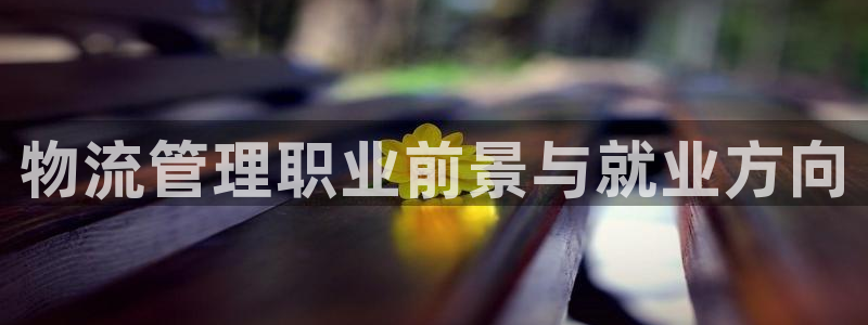 28圈充值不到账怎么回事
