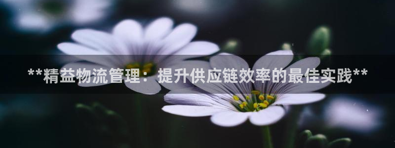 28圈口戒指是多大：**精益物流管理