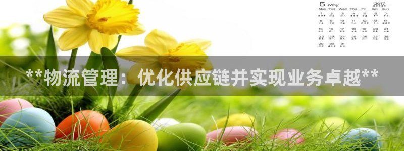 28圈加拿大28：**物流管理：优化