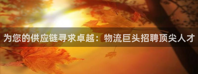 28圈pg麻将胡了：为您的供应链寻求