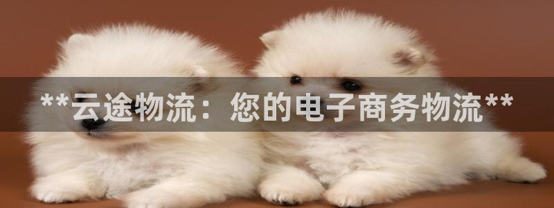 28圈注册：**云途物流：您的电子商
