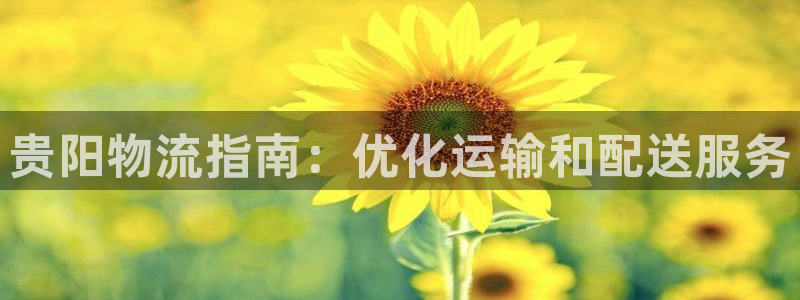 28圈cn：贵阳物流指南：优化运输和