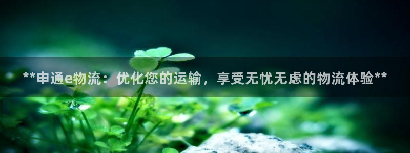 28圈是啥