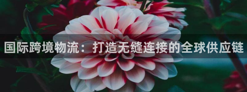 28圈电子游戏：国际跨境物流：打造无