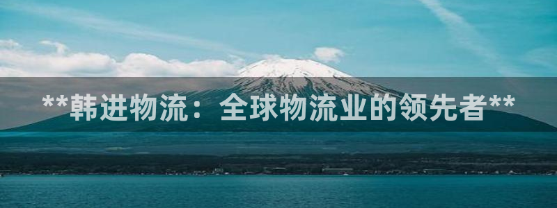 28圈游戏最新版：**韩进物流：全球