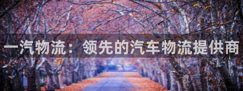 28圈机器人是什么软件：一汽物流：领