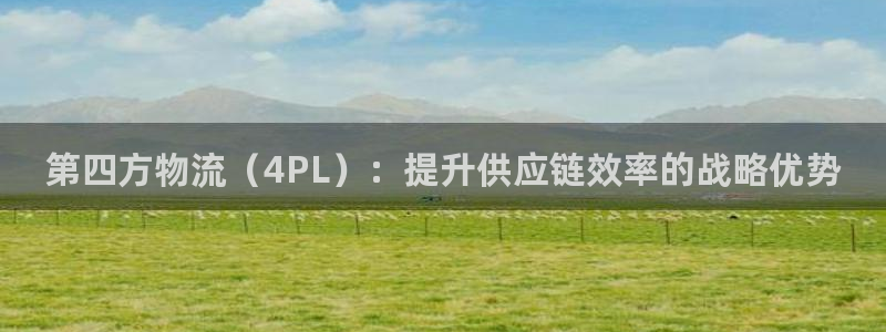 28圈加拿大开奖：第四方物流（4PL