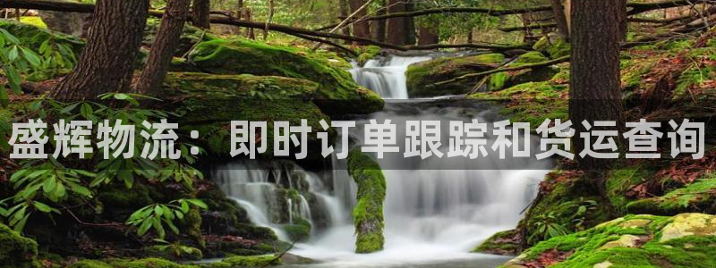 28圈账号注册：盛辉物流：即时订单跟