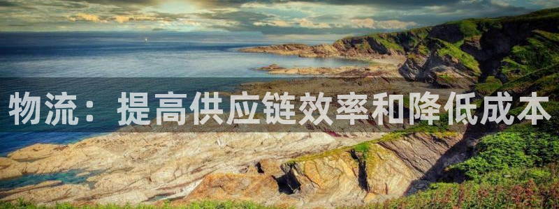 28圈娱乐官网网页下载：物流：提高供