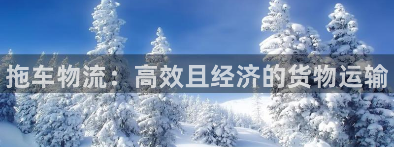 28圈登陆网：拖车物流：高效且经济的