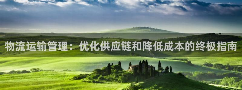 28圈登录流程：物流运输管理：优化供
