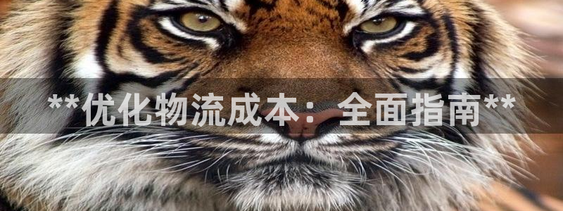 南宫28圈官网