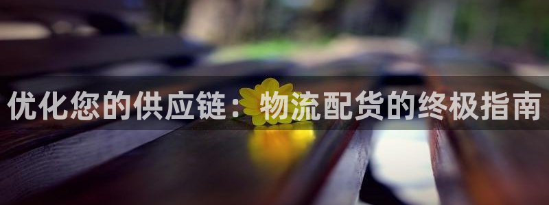28圈娱乐官网网页入口：优化您的供应