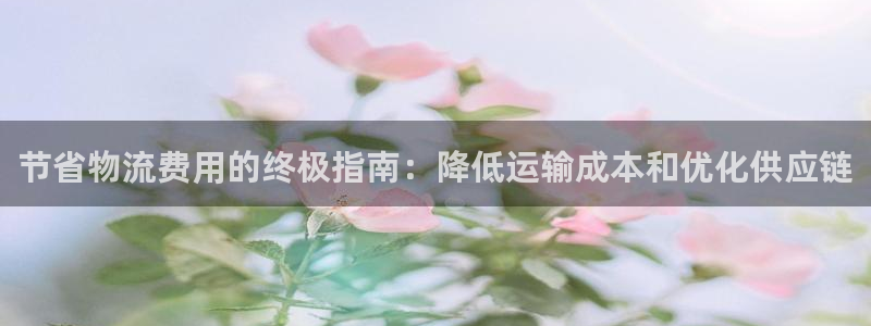 28圈下载不了