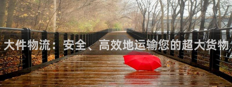 28圈登录用户名登录不上：大件物流：