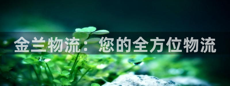 28圈软件：金兰物流：您的全方位物流