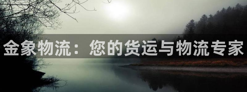28圈黑平台吗：金象物流：您的货运与