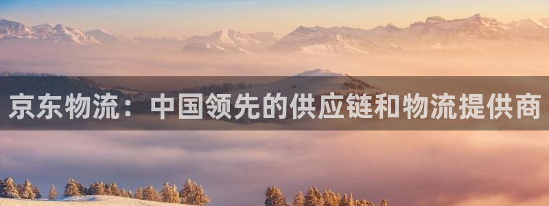 28圈加拿大开奖：京东物流：中国领先