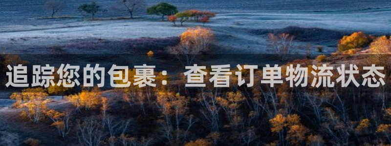 28圈软件堵什么反什么