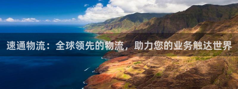 28圈官网平台：速通物流：全球领先的