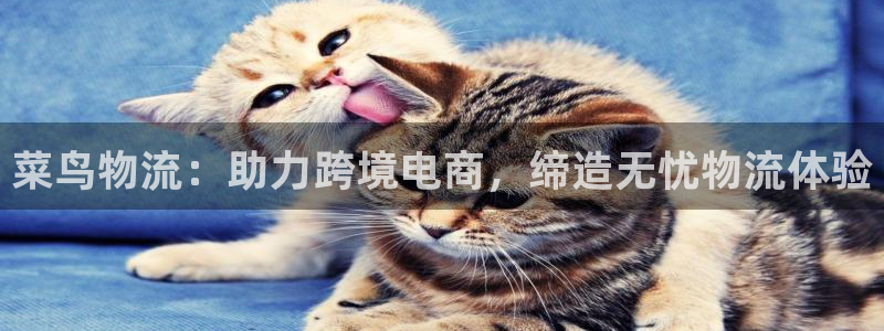 pc28圈怎么注册：菜鸟物流：助力跨