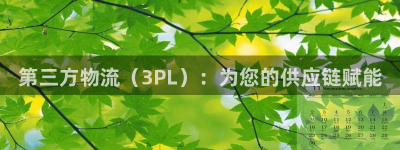 28圈电子：第三方物流（3PL）：为