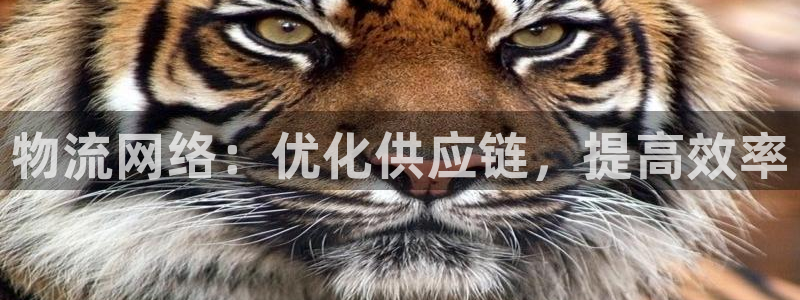 28圈软件有什么用