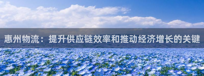 28圈加拿大预测