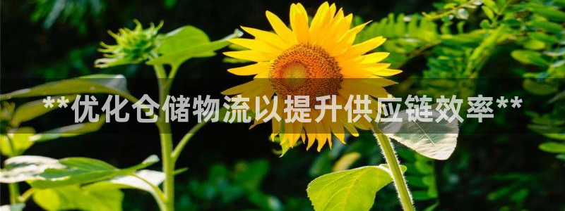 28圈提现不到账：**优化仓储物流以
