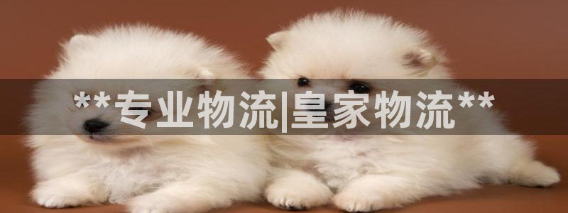28圈登录：**专业物流|皇家物流*