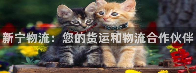 28圈圈