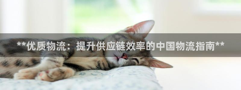 28圈口内径是多大