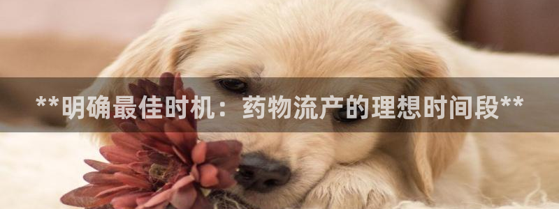 28圈app能退款吗
