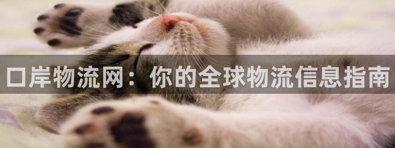 28圈app怎么注销