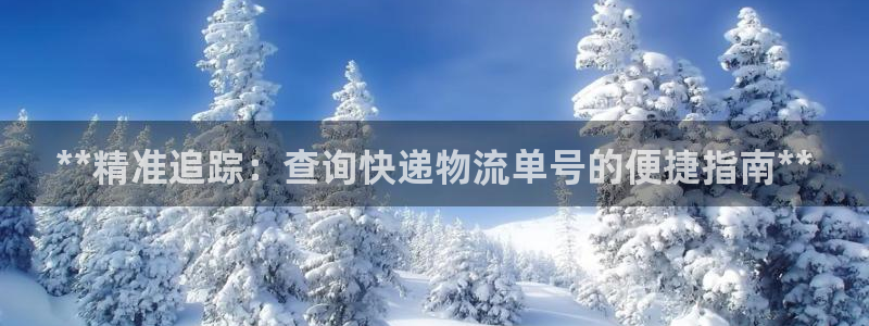 28圈稳吗：**精准追踪：查询快递物