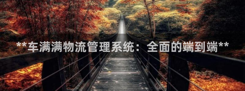 28圈注册网站多少钱：**车满满物流