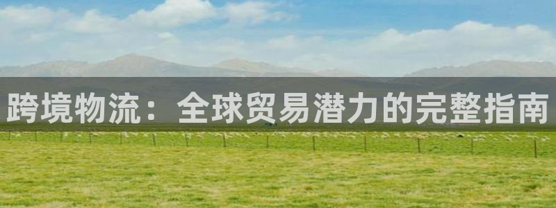 28圈登录用户名登录不上：跨境物流：