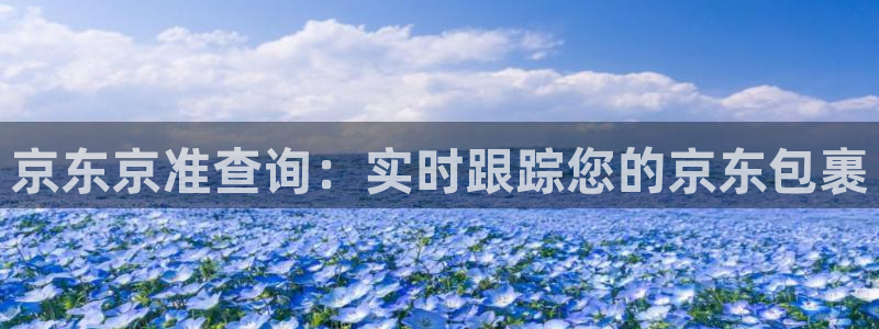 自行车28圈是什么意思：京东京准查询
