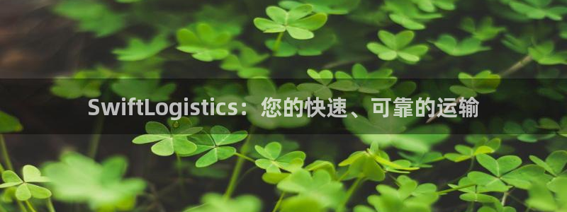 28圈登录流程：SwiftLogis