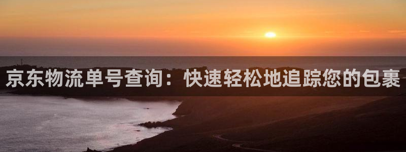 28圈是什么软件：京东物流单号查询：