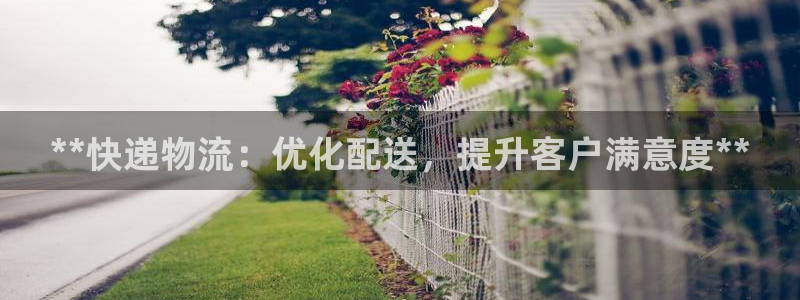28圈自行车图片大全
