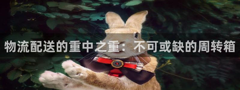 28圈注册网站多少：物流配送的重中之