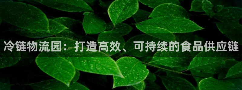 28圈怎么注册下载：冷链物流园：打造