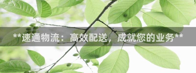 28圈是正规软件吗