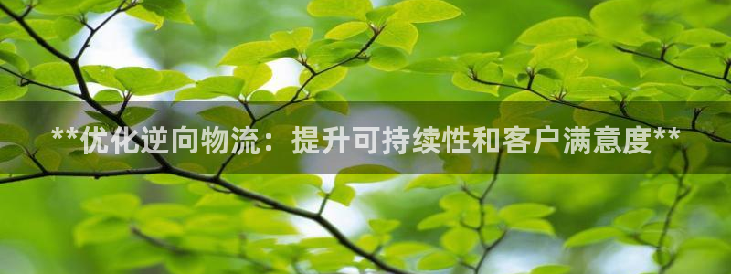 28圈注册账号：**优化逆向物流：提