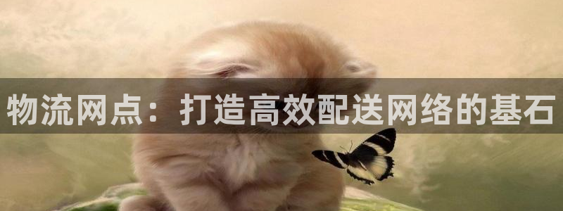 28圈官网下载链接是什么