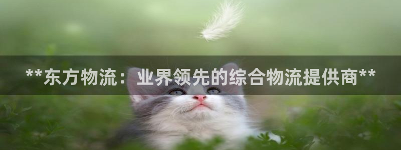 28圈稳吗