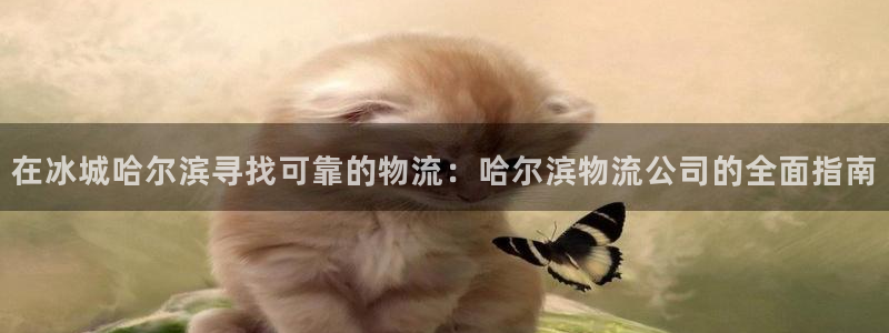 28圈为什么打不开