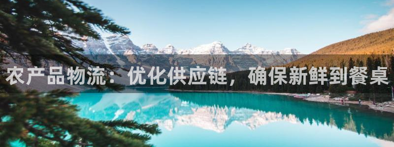 28圈头像