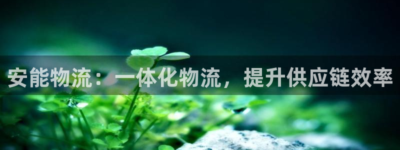 28圈是什么软件：安能物流：一体化物
